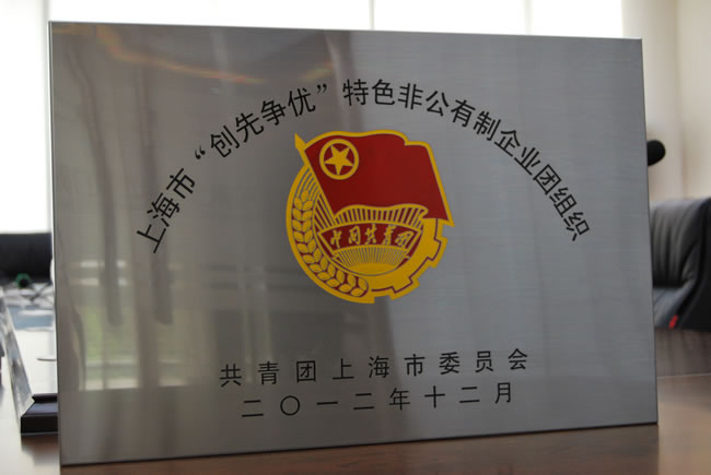 上海市‘創先爭優’特色非公有制企業團組織-獎牌
