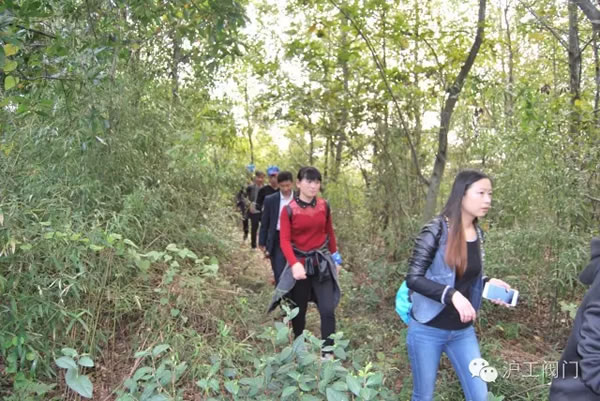 上海滬工閥門廠2016年秋季徒步毅行活動 圖4