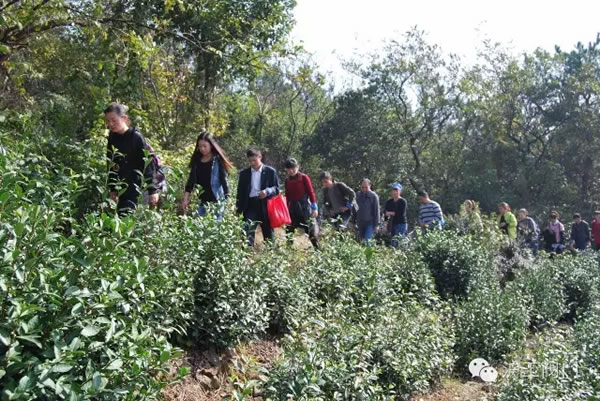 上海滬工閥門廠2016年秋季徒步毅行活動 圖5