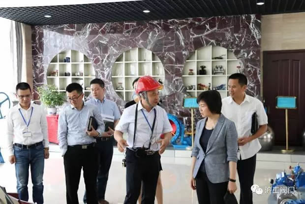 嘉定區(qū)副區(qū)長(zhǎng)陸祖芳等領(lǐng)導(dǎo)一行蒞臨我公司視察指導(dǎo)工作(圖4)