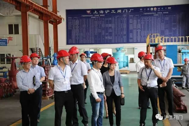嘉定區(qū)副區(qū)長(zhǎng)陸祖芳等領(lǐng)導(dǎo)一行蒞臨我公司視察指導(dǎo)工作(圖7)