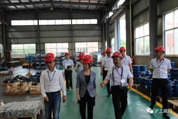 嘉定區(qū)副區(qū)長(zhǎng)陸祖芳等領(lǐng)導(dǎo)一行蒞臨我公司視察指導(dǎo)工作(圖8)