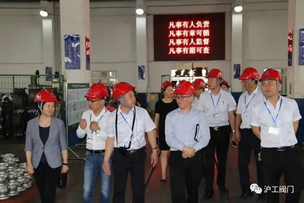 嘉定區(qū)副區(qū)長(zhǎng)陸祖芳等領(lǐng)導(dǎo)一行蒞臨我公司視察指導(dǎo)工作(圖9)