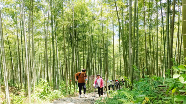 上海滬工閥門廠2024安吉章里古道戶外徒步活動(圖4)